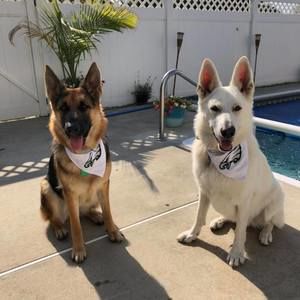 Meet your Posher, Beverly